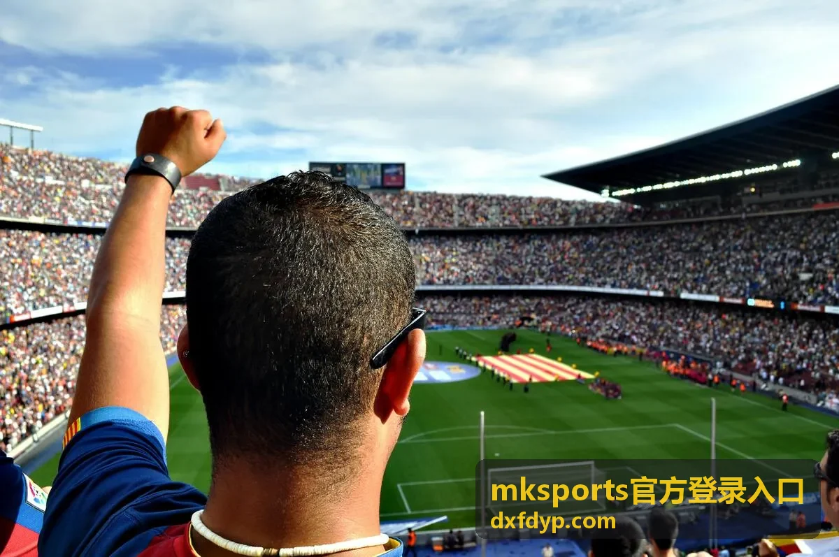 mksports官方登录入口登录页面核验流程展示