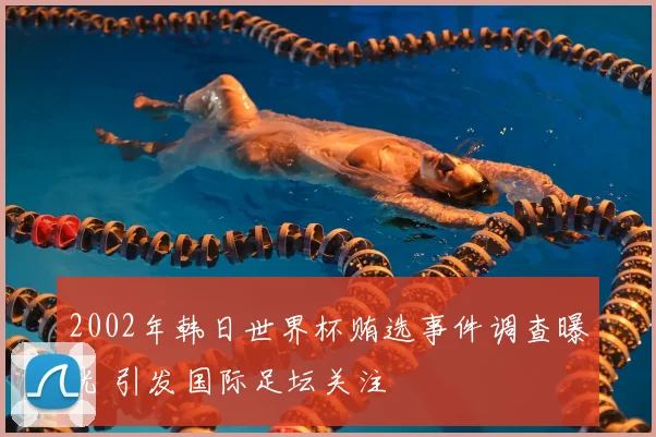 2002年韩日世界杯贿选事件调查曝光 引发国际足坛关注