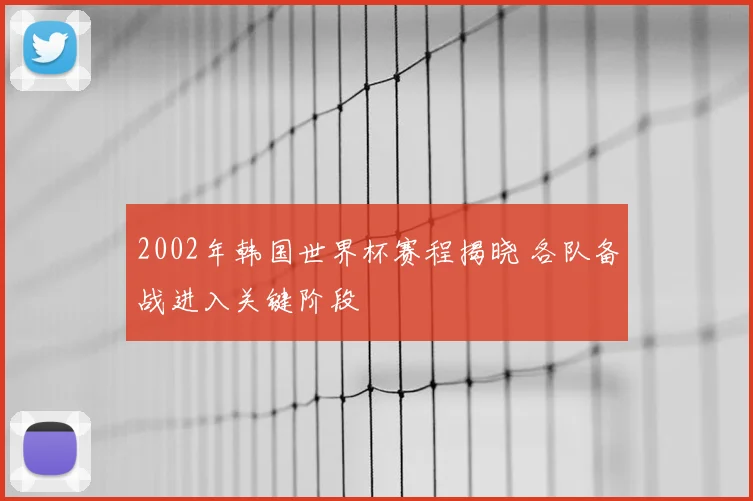 2002年韩国世界杯赛程揭晓 各队备战进入关键阶段