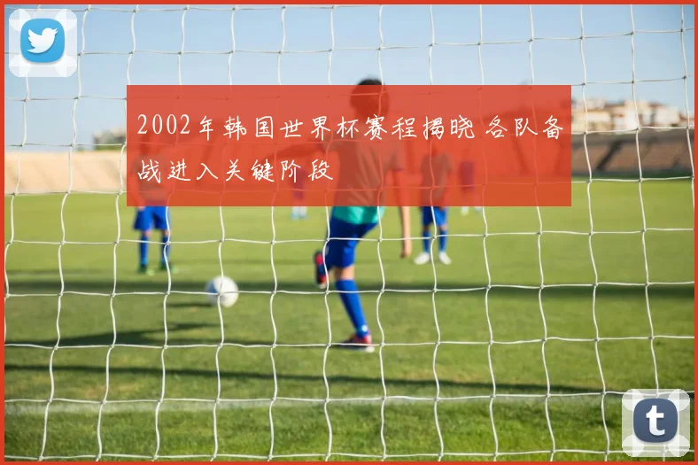 2002年韩国世界杯赛程揭晓 各队备战进入关键阶段