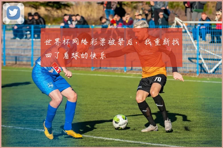 世界杯网络彩票被禁后,我重新找回了看球的快乐