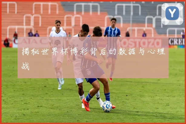 揭秘世界杯博彩背后的数据与心理战