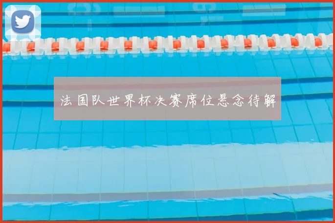 法国队世界杯决赛席位悬念待解