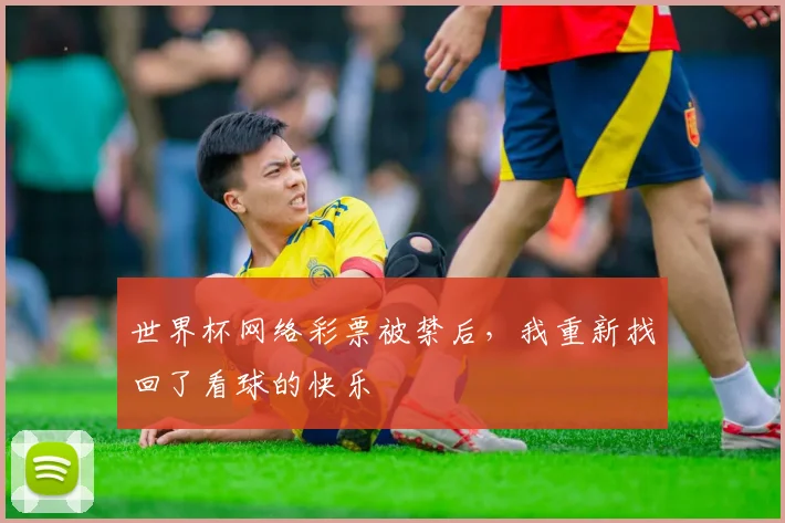 世界杯网络彩票被禁后，我重新找回了看球的快乐