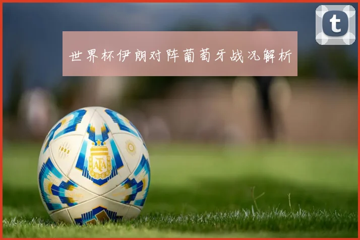 世界杯伊朗对阵葡萄牙战况解析